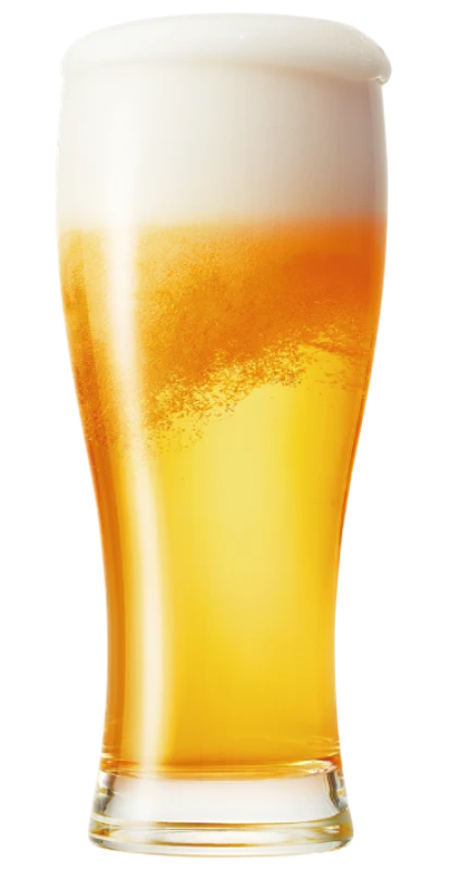 ブルックリン ディフェンダーIPA