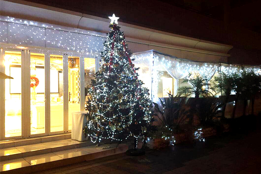 会場の入り口に巨大なクリスマスツリーが♪普段は結婚式の２次会の会場として使われています！