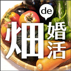 畑de婚活