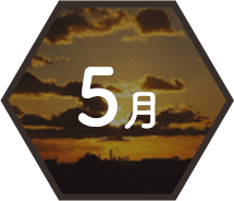 5月 隅田川夕景散歩