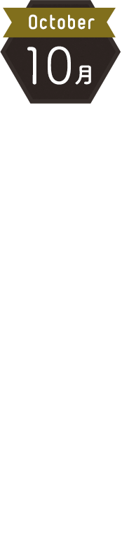 10月 みそ作り体験婚活♪