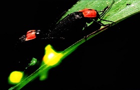 4月19日海遊館謎解き