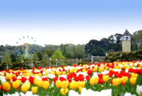 屋外クッキング合コン